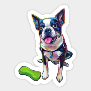 BOSTON TERRIER WITH TOY Sticker